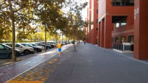 Arrancan las obras del circuito saludable en la Avinguda dels Tarongers en Valencia